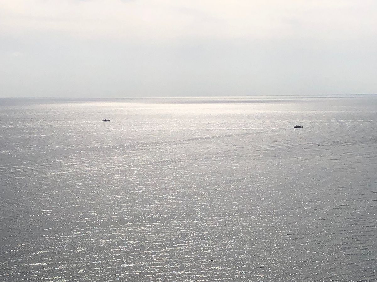 国後島を見に野付半島へ。途中、タンチョウ発見。知床に行く途中で寄った鯨の見...