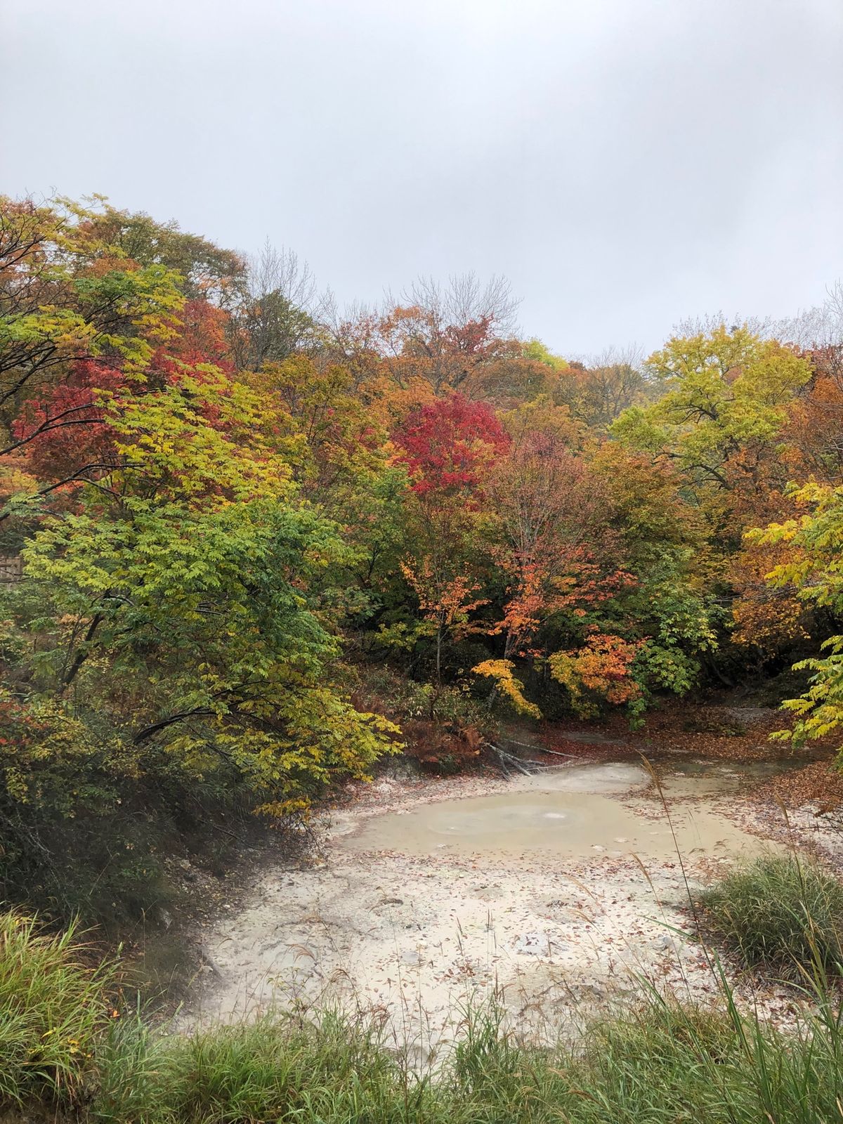 阿寒湖と周辺の散歩