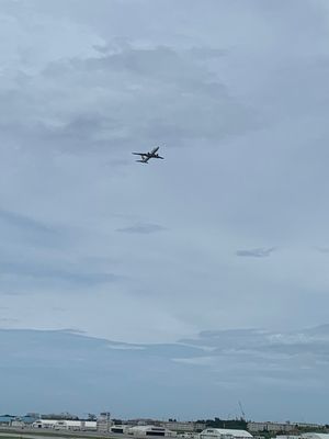 帰りの空港では、忘れずにポーたまを😋😋
