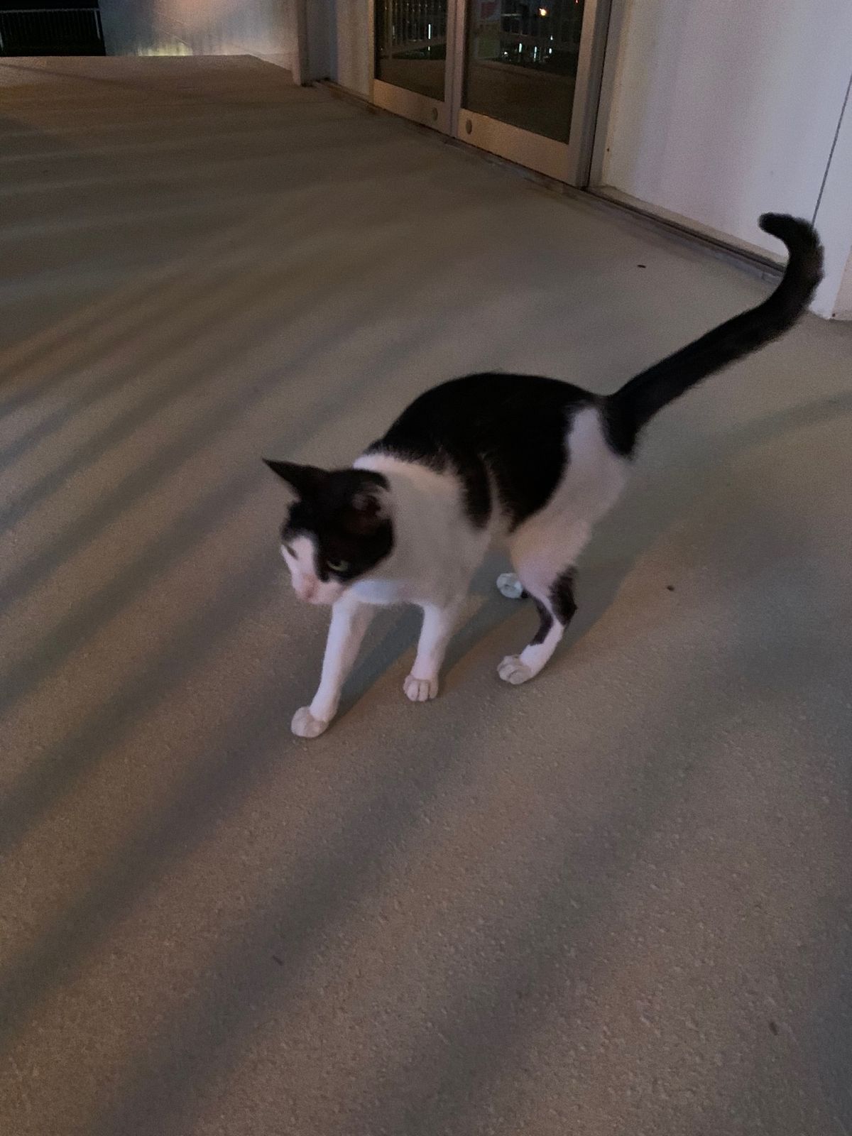 海を見ているとhappyな気分になります。