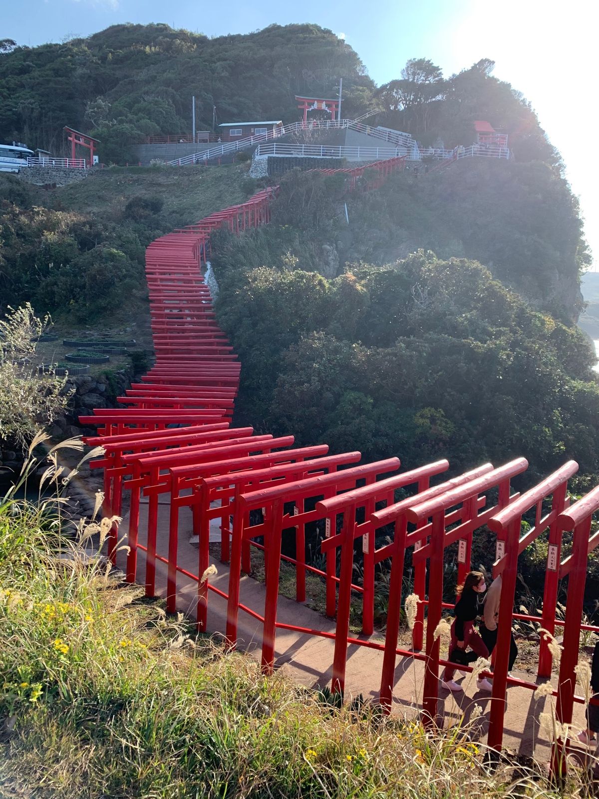 鳥居⛩がいっぱい。