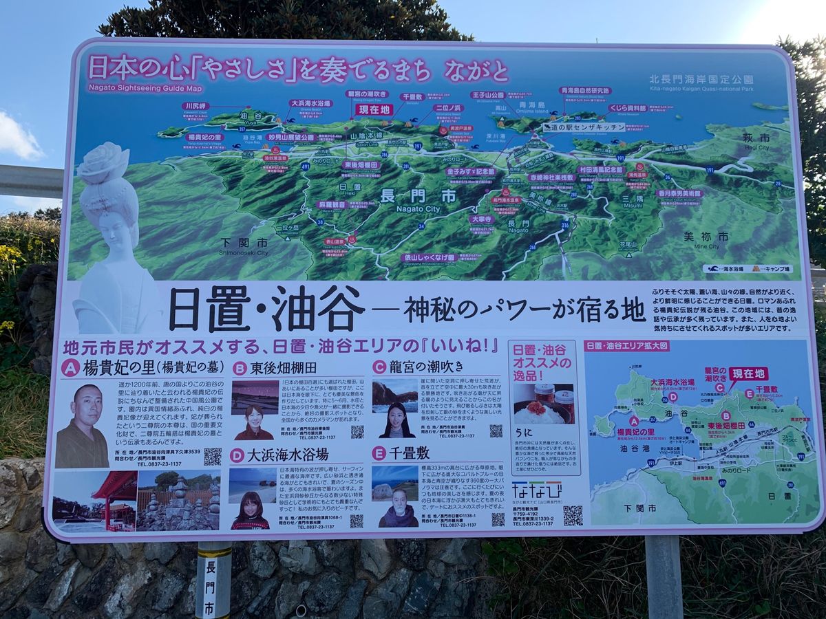 鳥居⛩がいっぱい。