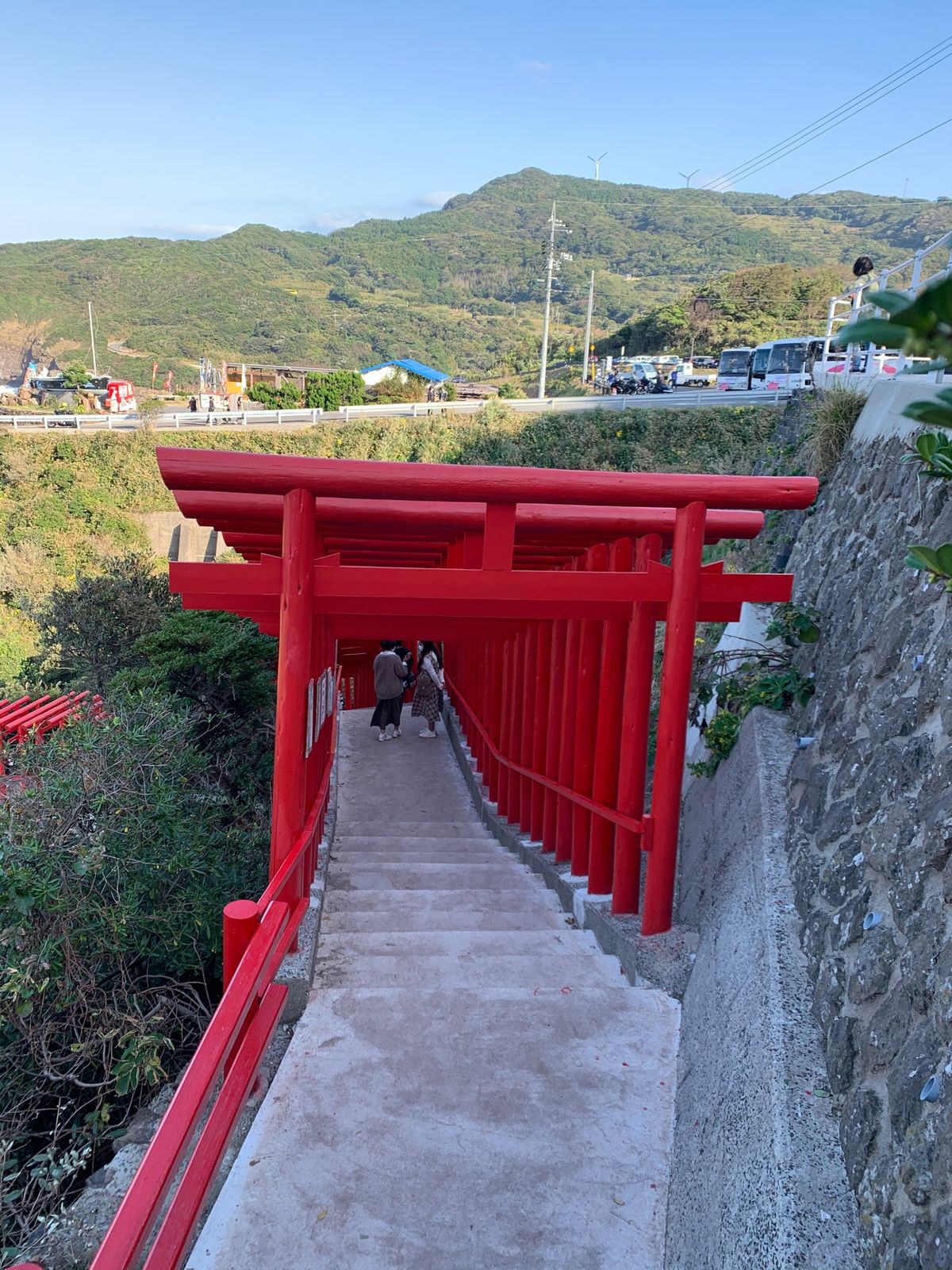 鳥居⛩がいっぱい。