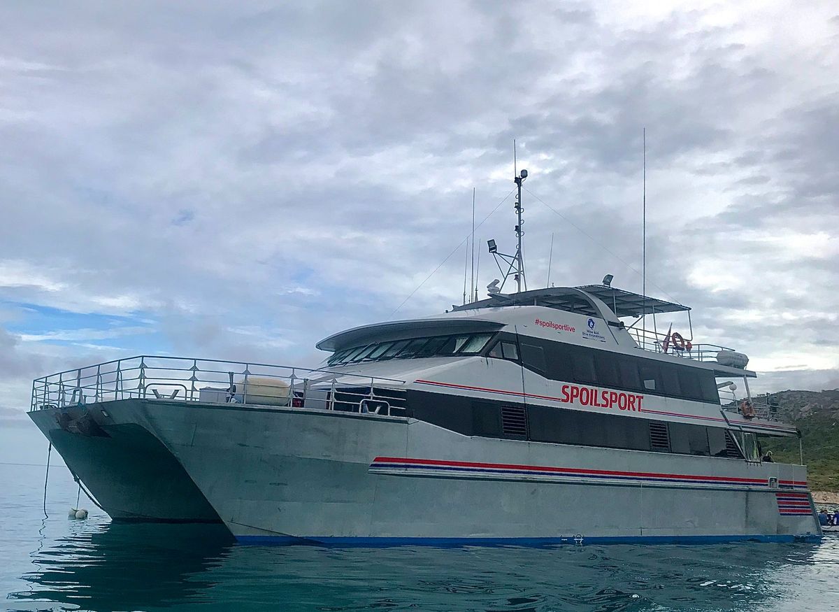 グレートバリアリーフダイビングクルーズ
クルーズには約20人くらいのダイバ...