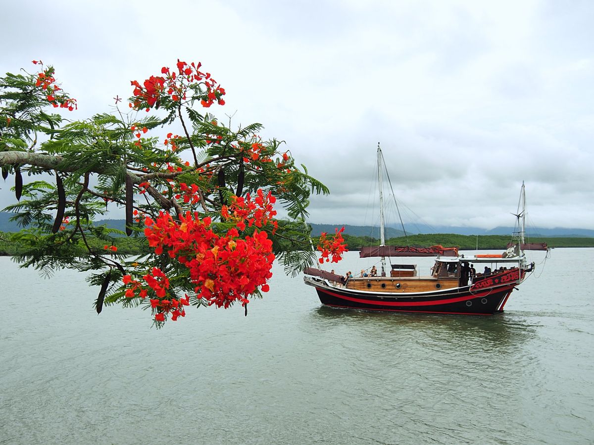 ケアンズから北に1時間ほど走ったポートダグラスにも泊まり、美味しい海鮮を楽...