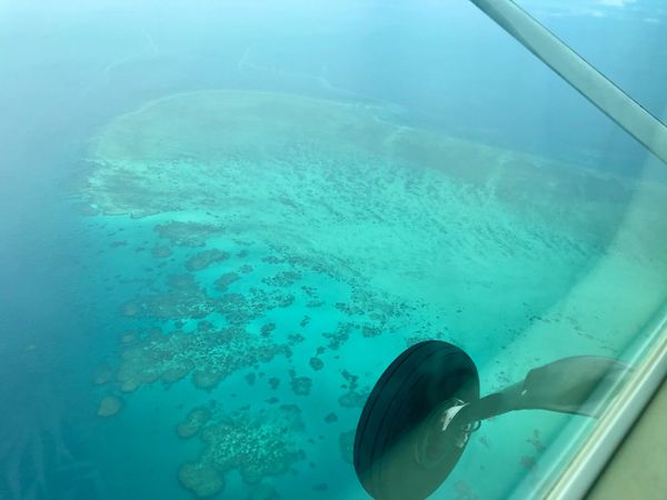 オーストラリア連邦「オーストラリア　グレートバリアリーフでダイビングの日々」の写真：グレートバリアリーフダイビングクルーズクルー...