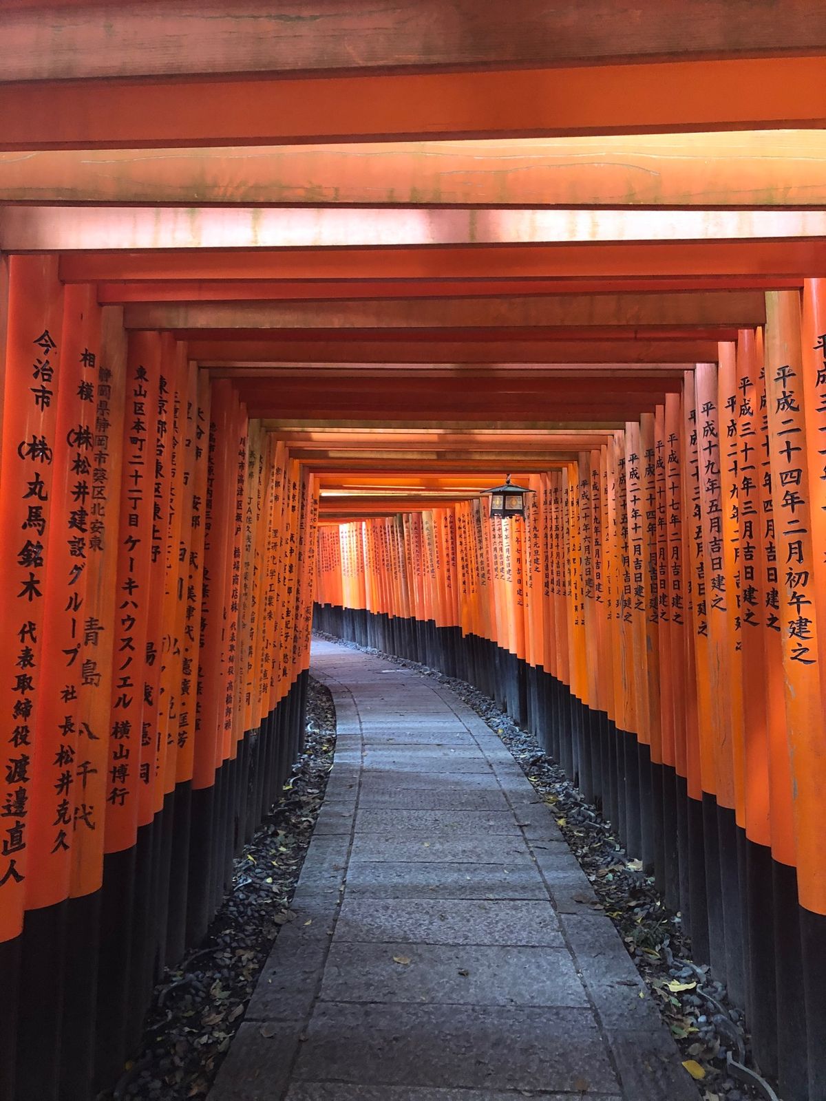 伏見稲荷大社
人が全く写っていない鳥居を撮れました！なかなかレア