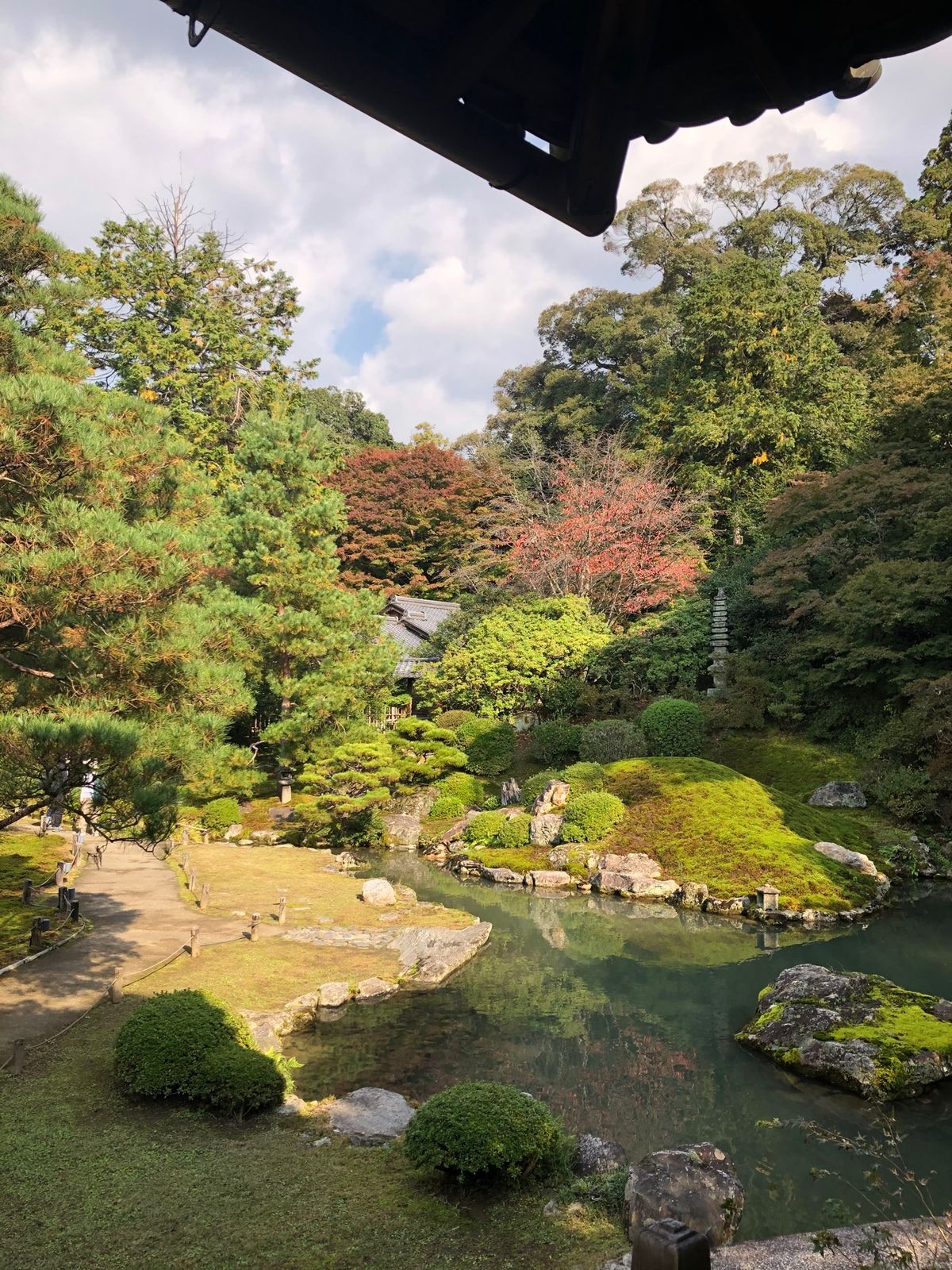 初めて行った青蓮院門跡
庭が綺麗で癒されます
紅葉はまだまだ先…