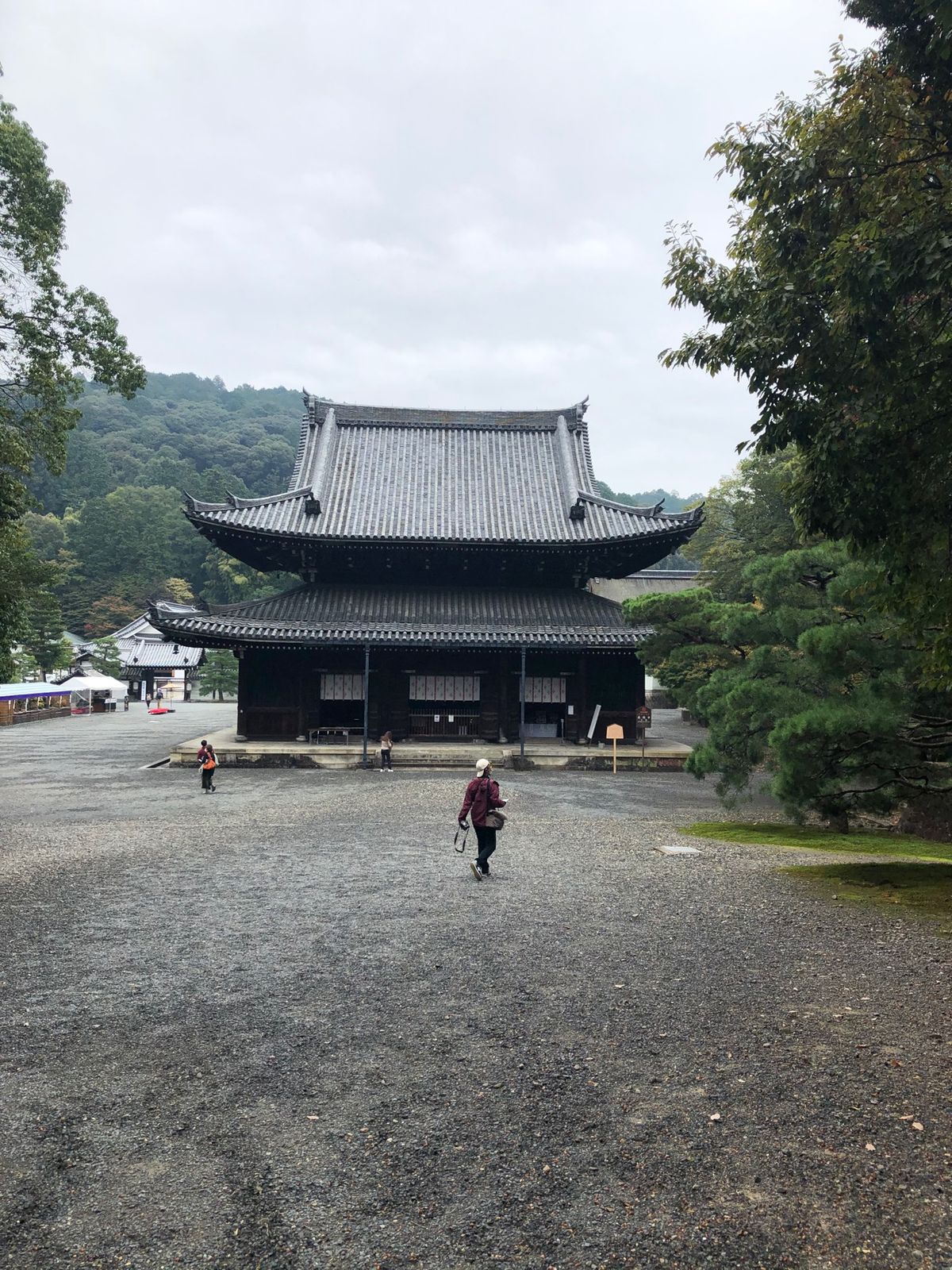 泉涌寺と野宮神社へお守りをお返ししてきました
そして新しいのを購入