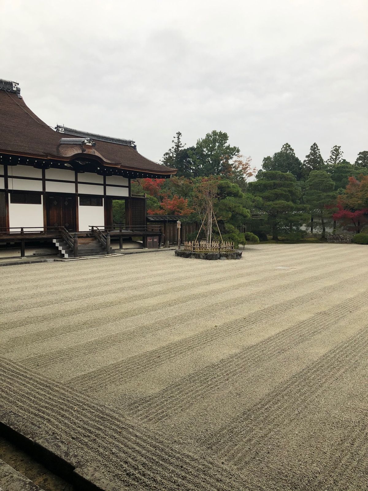 7日は仁和寺で対局があったらしく御殿は全部は見られず…