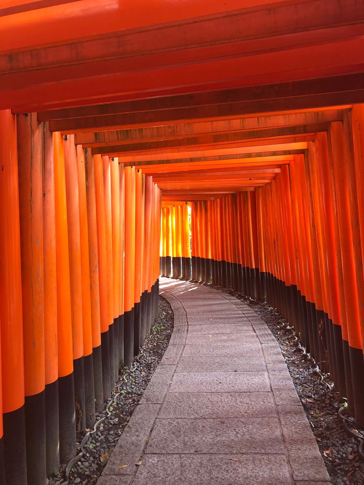 伏見稲荷大社
人が全く写っていない鳥居を撮れました！なかなかレア
