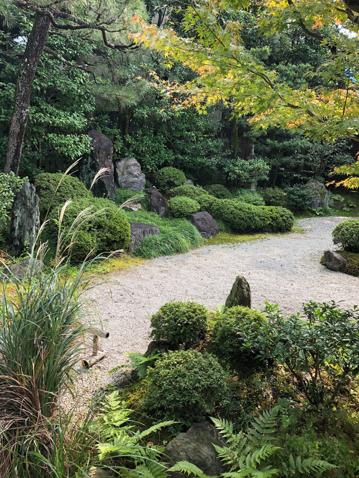 六道珍皇寺
冥土通いの井戸を見てきました