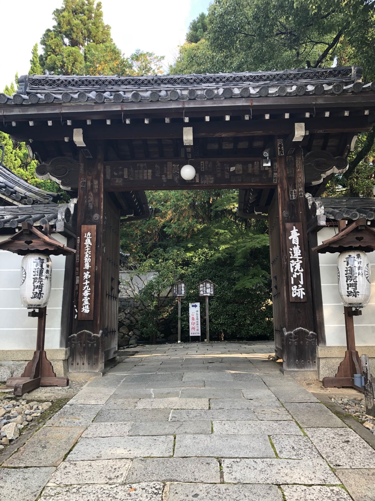 初めて行った青蓮院門跡
庭が綺麗で癒されます
紅葉はまだまだ先…