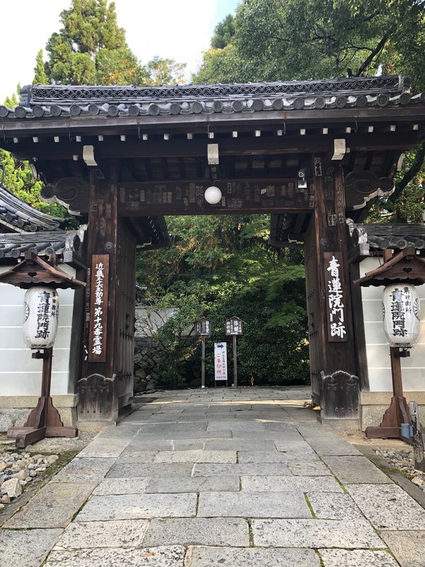日本・京都市「GoToで京都旅」の写真：初めて行った青蓮院門跡
庭が綺麗で癒され...
