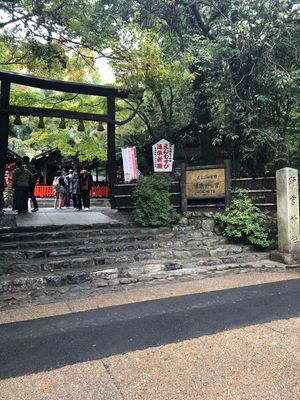 泉涌寺と野宮神社へお守りをお返ししてきました
そして新しいのを購入
