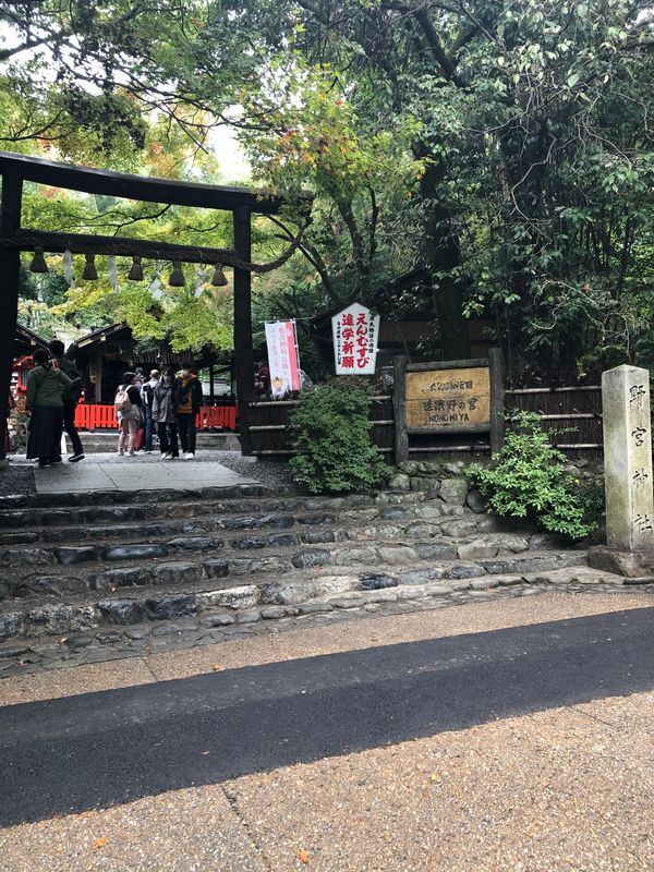 日本・京都市「GoToで京都旅」の写真：泉涌寺と野宮神社へお守りをお返ししてきま...