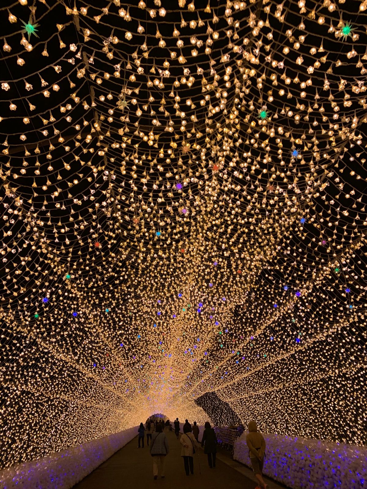 スチールドラゴン(・∀・)こ、こわー！