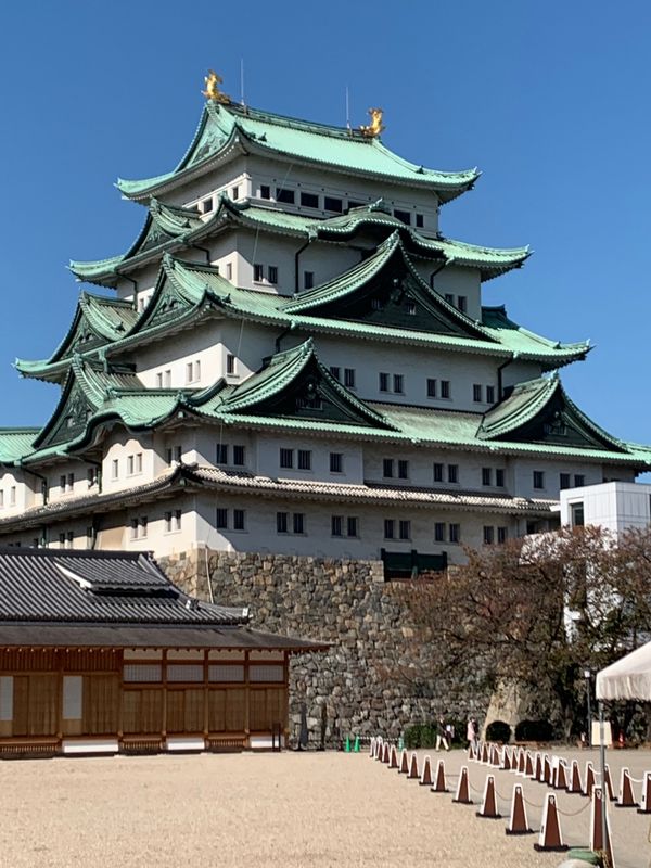 日本・愛知県「長島スパーランド 」の写真：スチールドラゴン(・∀・)こ、こわー！