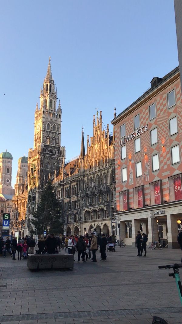 フィンランド・ヘルシンキ「2019年冬　ドイツ、フィンランド一人旅」の写真：新市庁舎のあるマリエン広場。クリスマスシ...