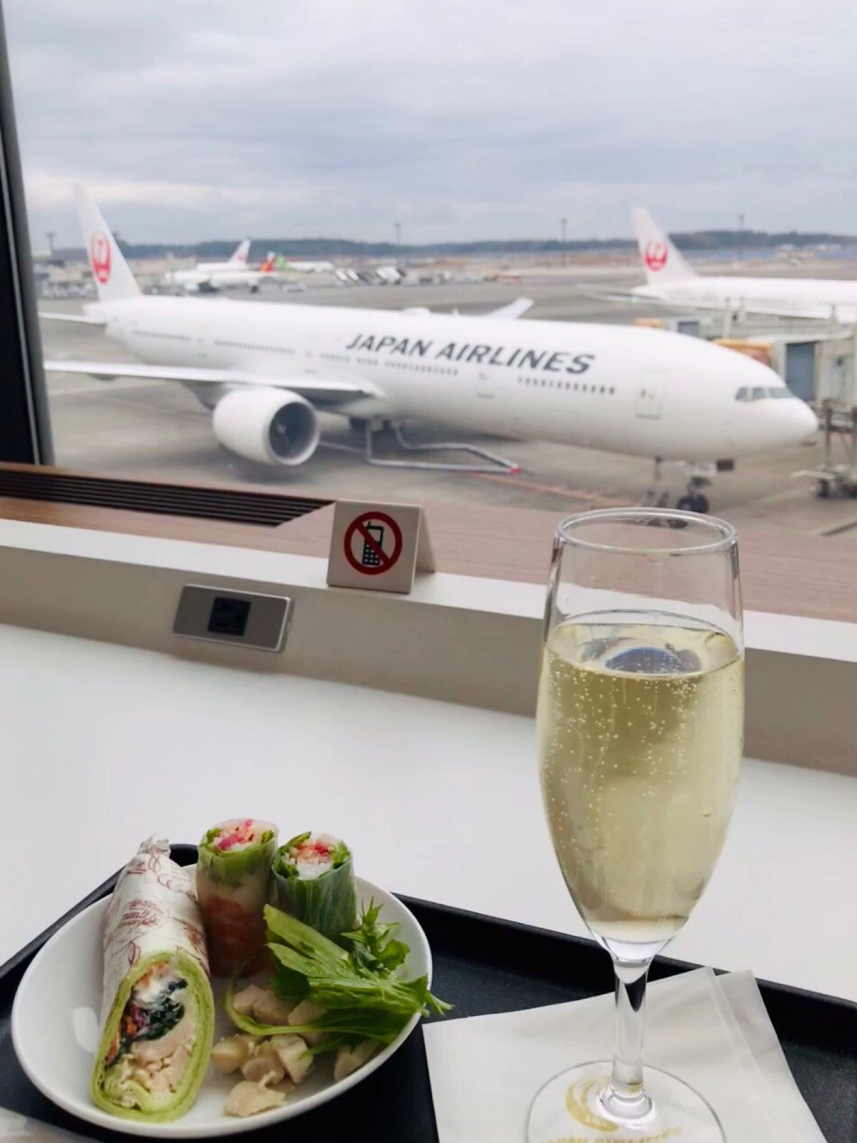 12月30日 前日のうちにNRTへ移動。
バス送迎のある東横インへ宿泊。
...