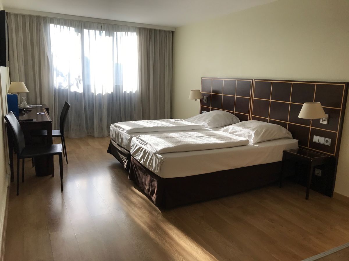 新年を迎えてもヨーロッパはクリスマス仕様だ。
ミュンヘン中央駅もクリスマス...