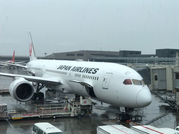 フィンランド・ヘルシンキ「2019年冬　ドイツ、フィンランド一人旅」の写真：SKY SUITE 787 でNRTから...