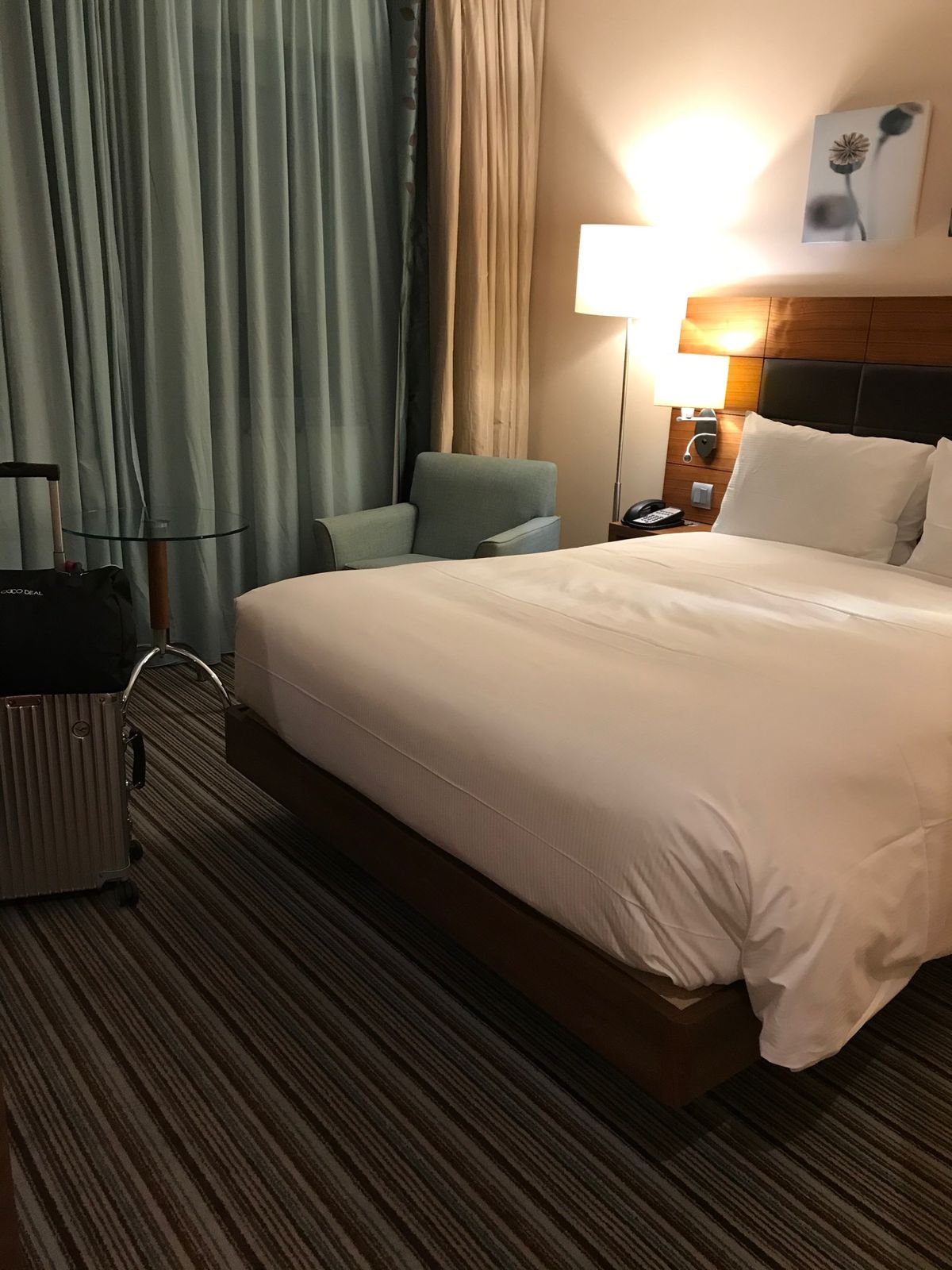 フランクフルト空港に到着。現地は12月30日の夕刻。
今回はすんなり入国で...