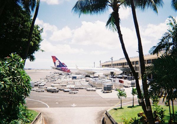 アメリカ(米国)「🇺🇸🌺」の写真