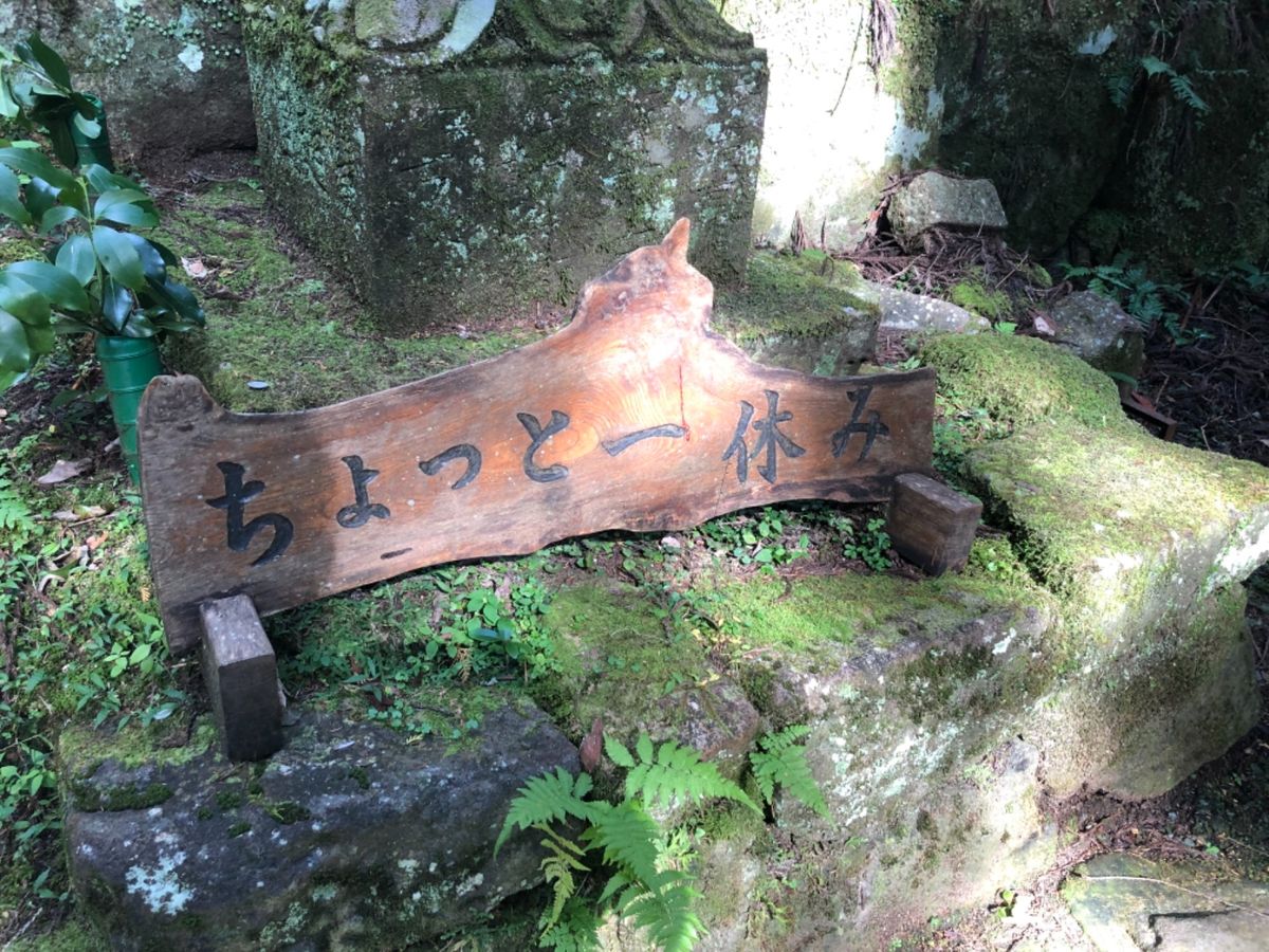 五重塔から先は長い長い石段を登って奥の院へ。日頃の運動不足を痛感しました。（笑）