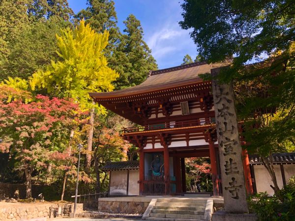 日本・奈良県「長谷寺と室生寺」の写真：女高野山、室生寺。山門前の紅葉が色付き始...
