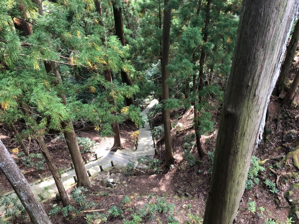 五重塔から先は長い長い石段を登って奥の院へ。日頃の運動不足を痛感しました。（笑）