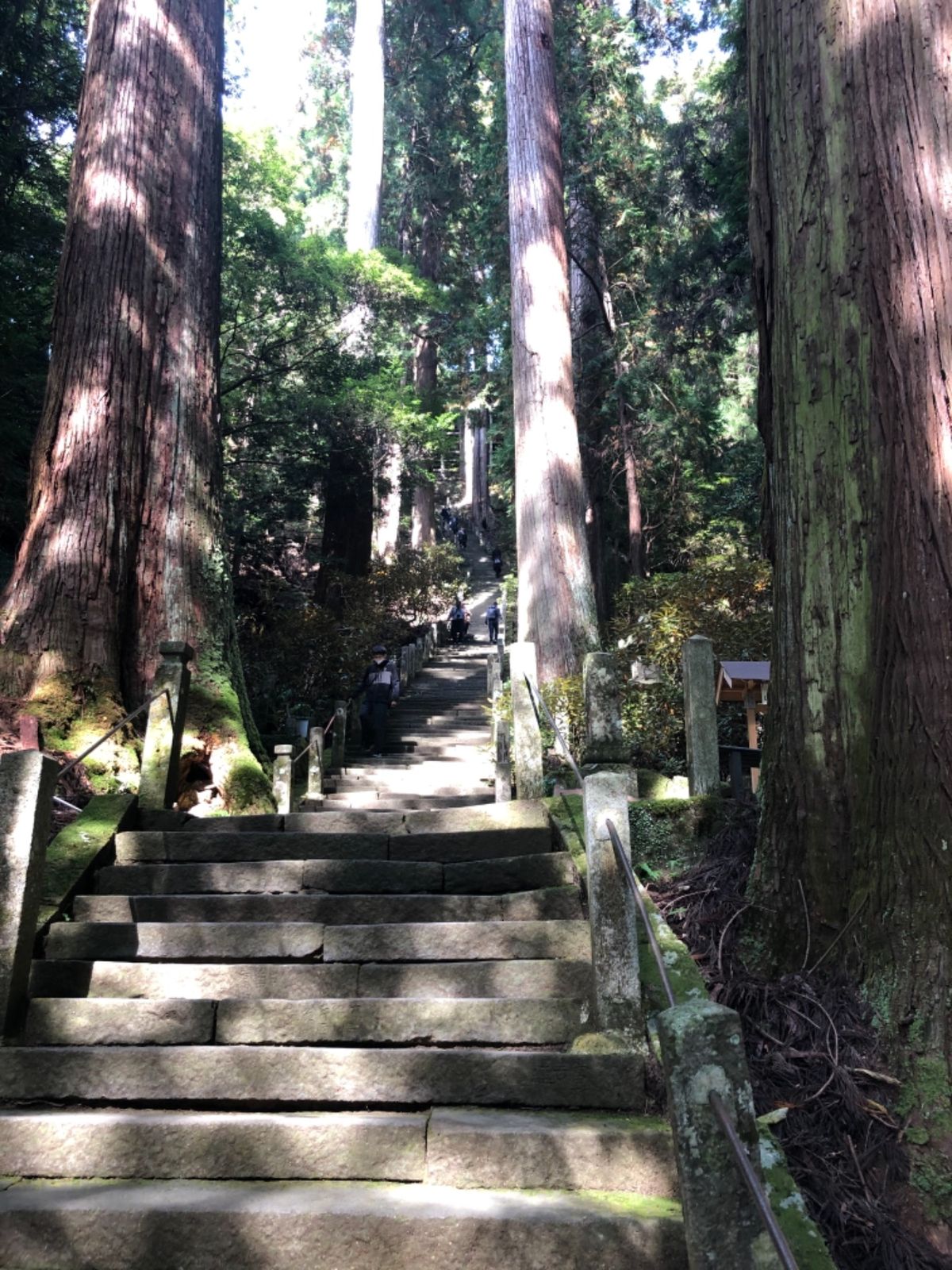 五重塔から先は長い長い石段を登って奥の院へ。日頃の運動不足を痛感しました。（笑）