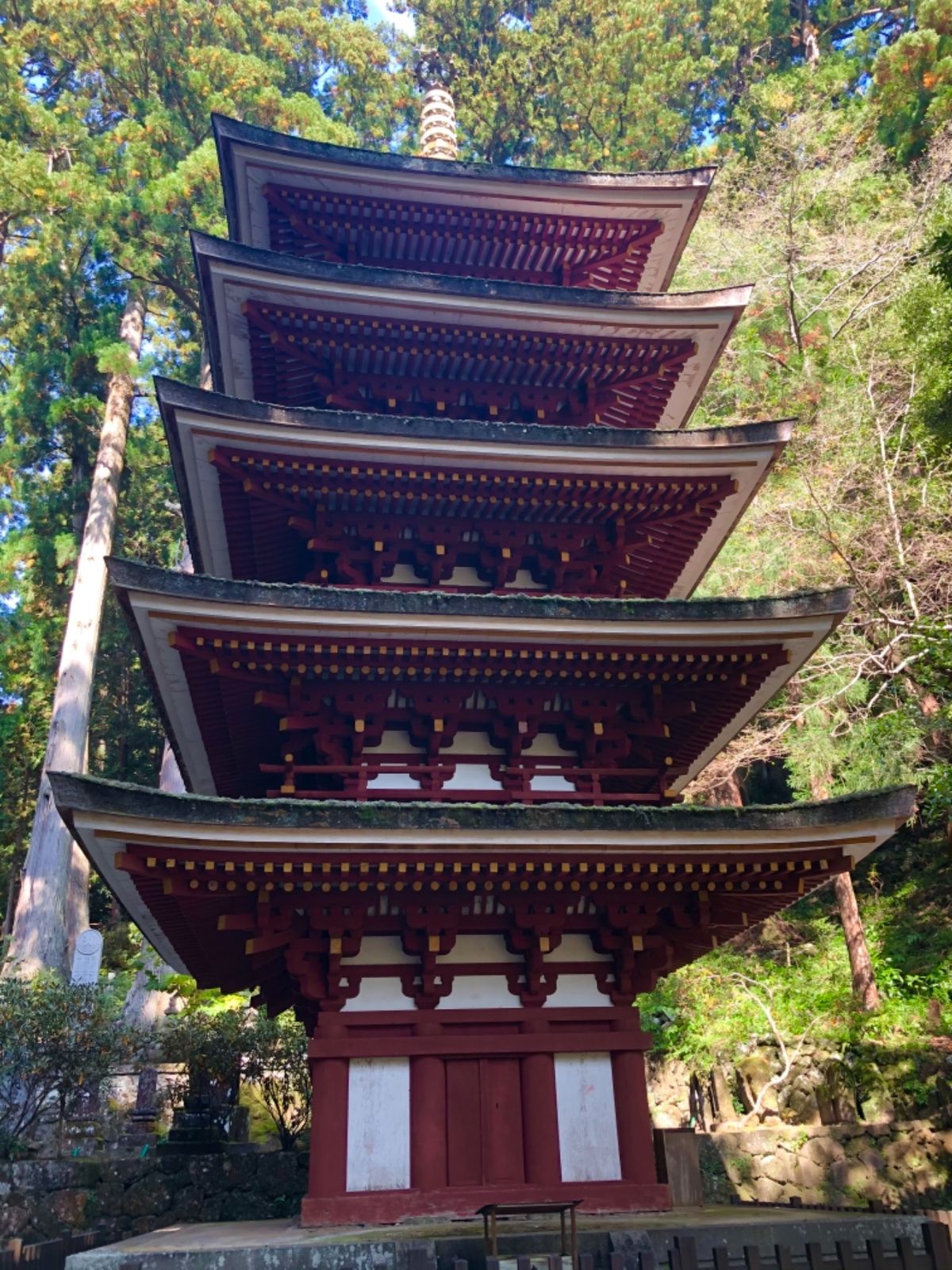 女高野山、室生寺。山門前の紅葉が色付き始めていました。
