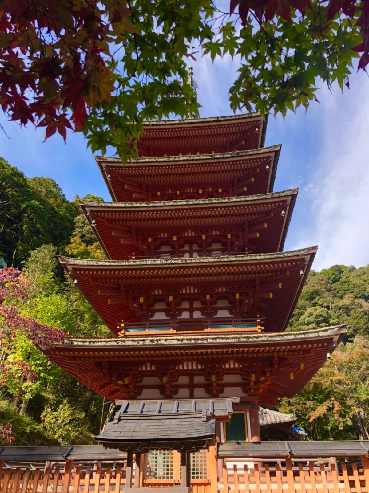 室生寺の次は牡丹で有名な長谷寺へ。紅葉もほんのり色づいていました。