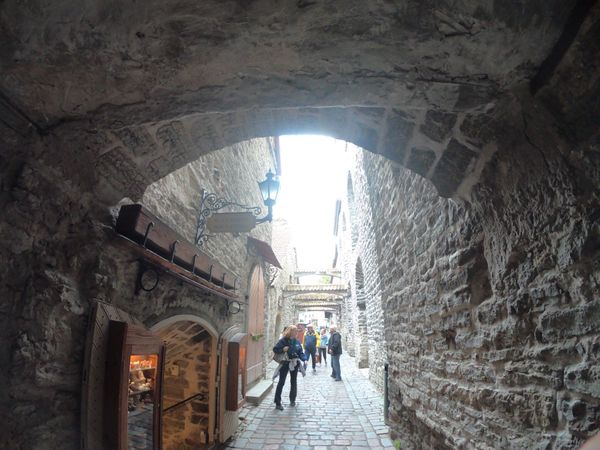 エストニア・エストニア「エストニア」の写真