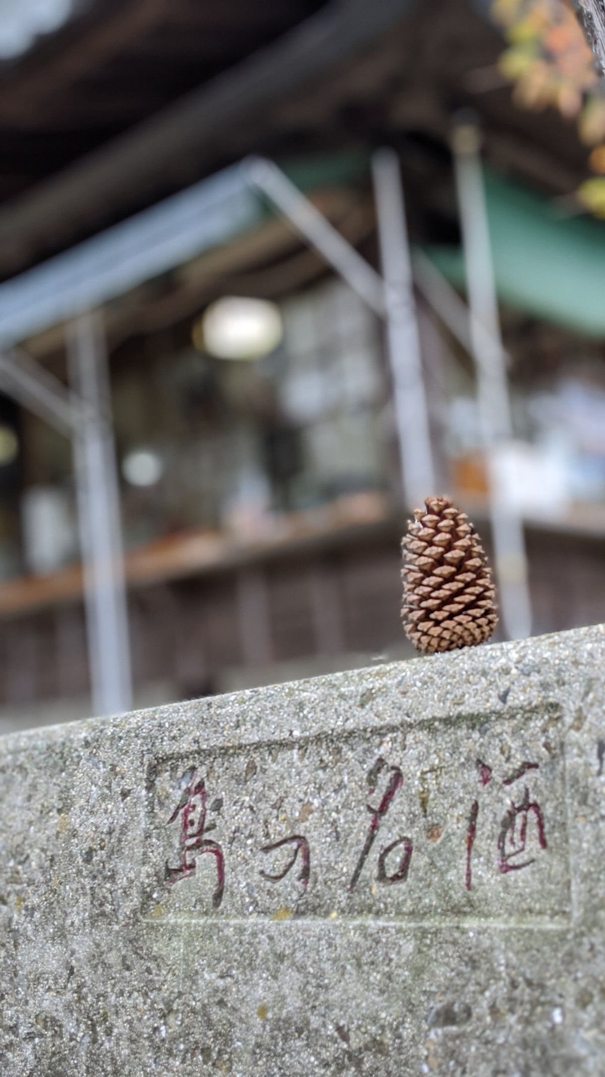 おのころ島神社
日本三大鳥居の一つらしい。日本一大きい。
確かに大きかった。