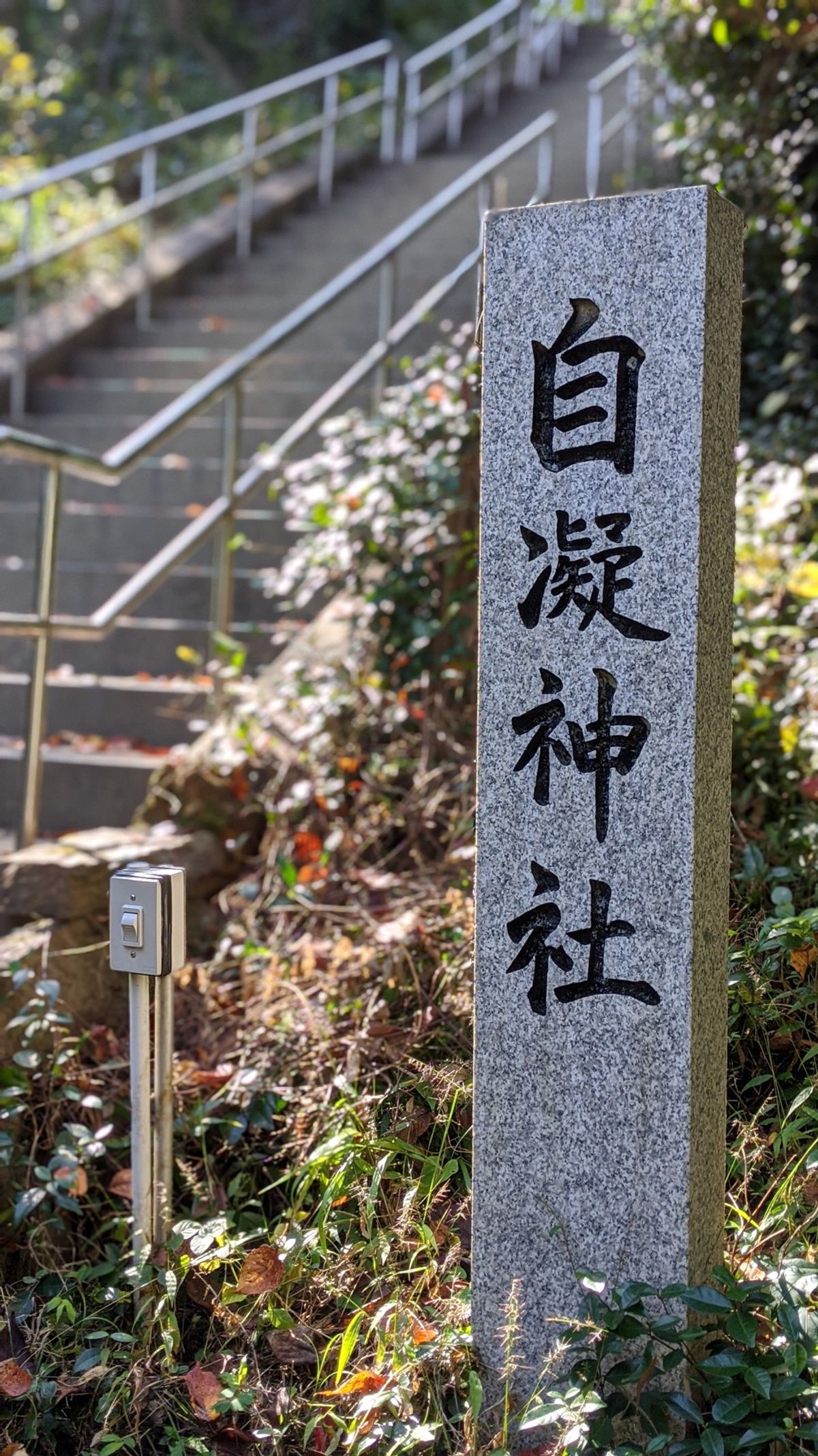 日本作っていただいてありがとうございます