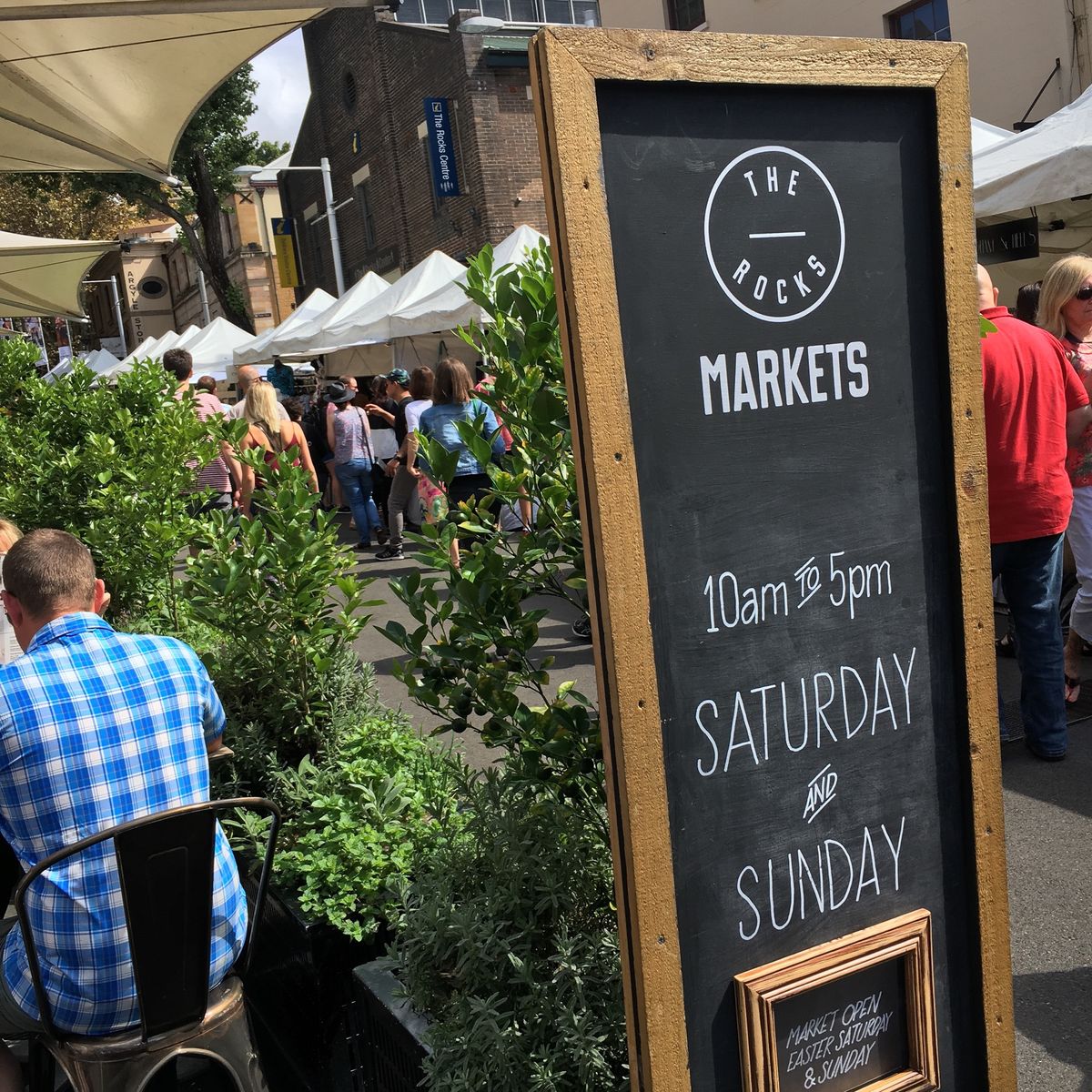 ✈︎ Sydney Opera House
✈︎ Blue Mountai...