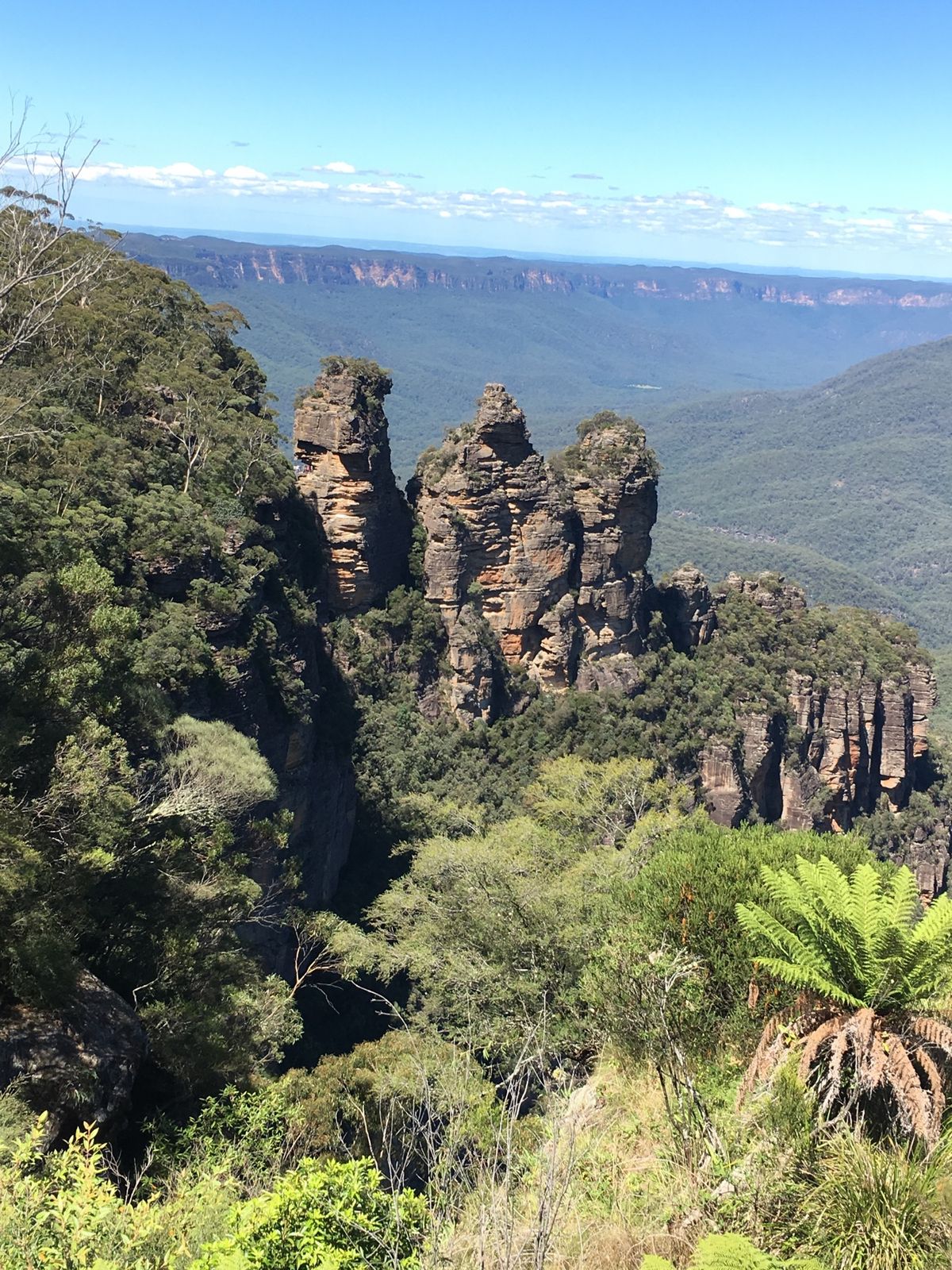 ✈︎ Sydney Opera House
✈︎ Blue Mountai...