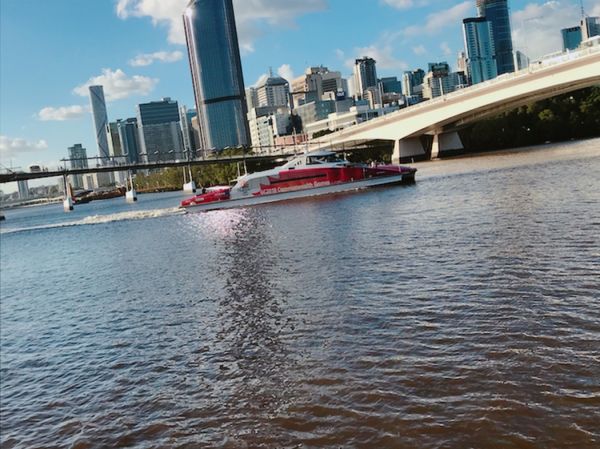 オーストラリア連邦・ブリスベン「短期留学🇦🇺」の写真：日常的にフェリーに乗る街🐨💕