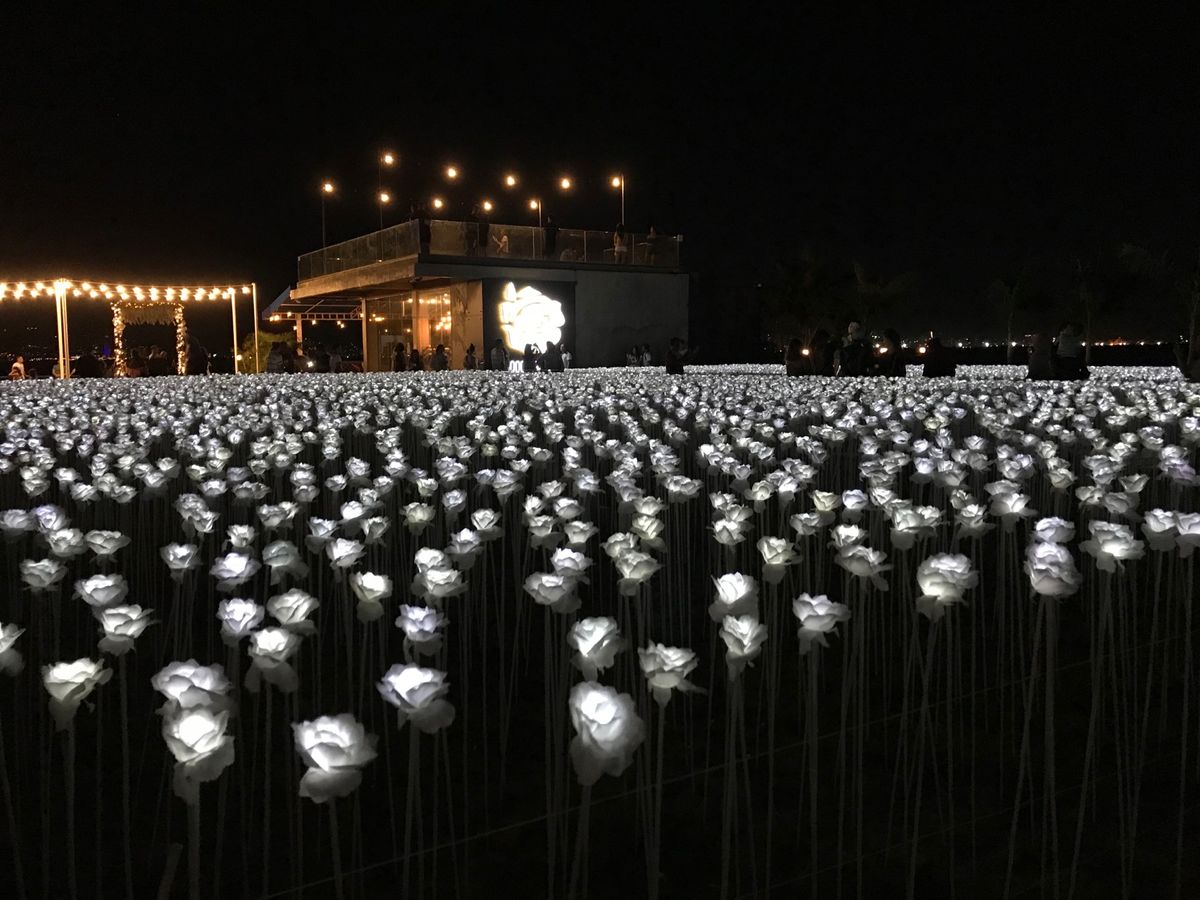 10000 roses cafe🌹