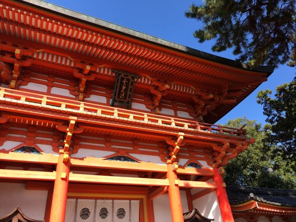 日本・京都府「京都日帰り紅葉狩り」の写真：今宮神社