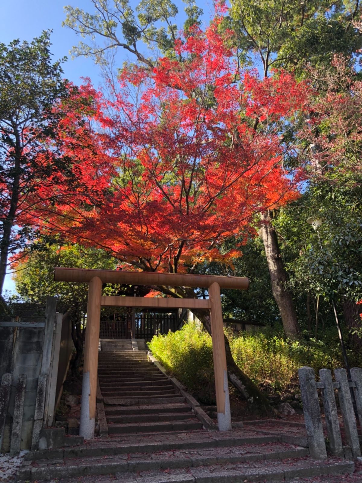 今宮神社