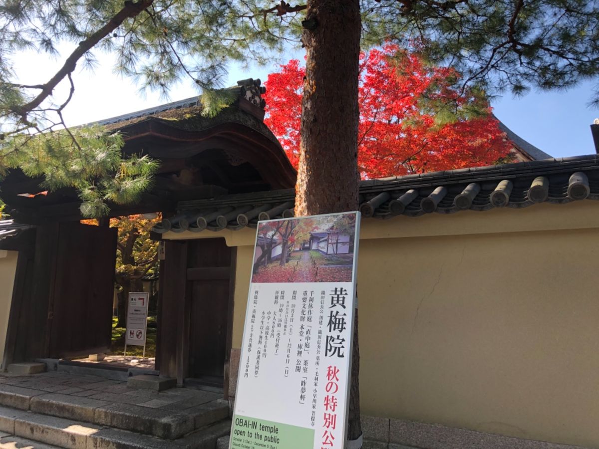 大徳寺の黄梅院。こちらはまだ少し早かった。