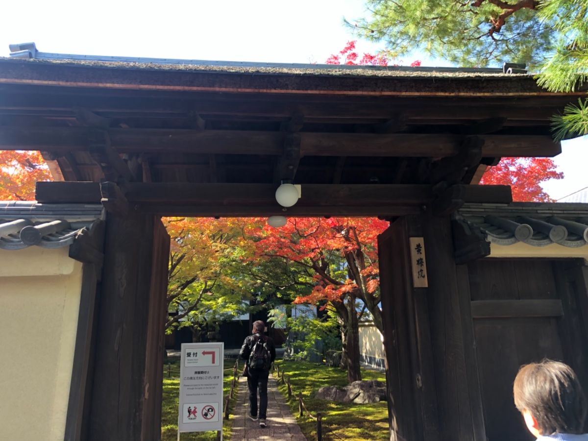 大徳寺の黄梅院。こちらはまだ少し早かった。