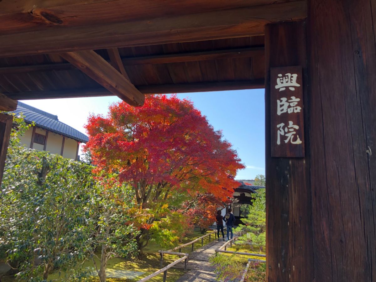 同じく大徳寺の興臨院。