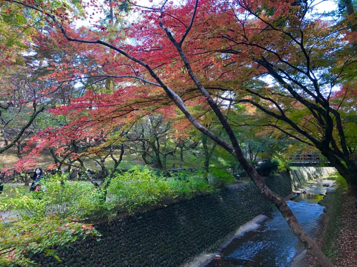 最後は北野天満宮の紅葉苑