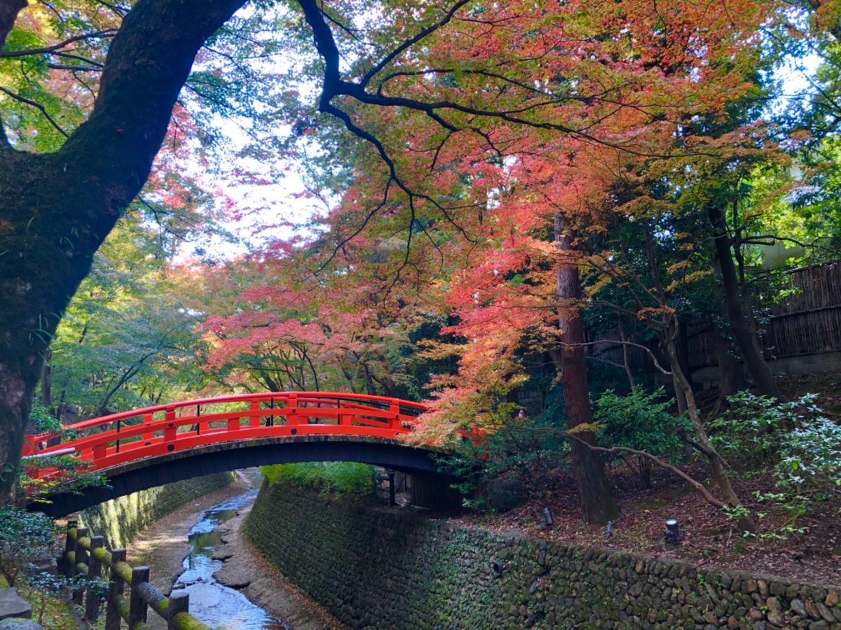 最後は北野天満宮の紅葉苑
