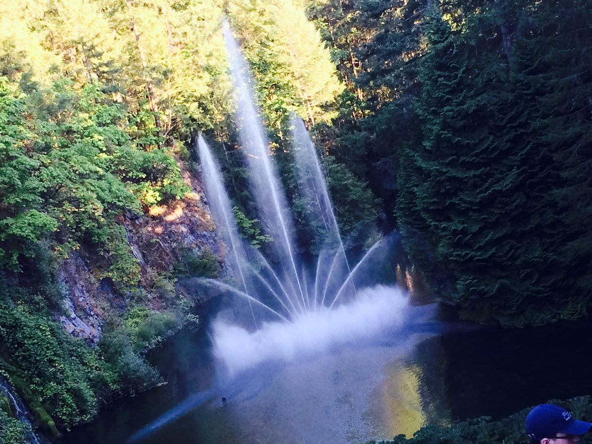 ヴィクトリアも行ったやで😊