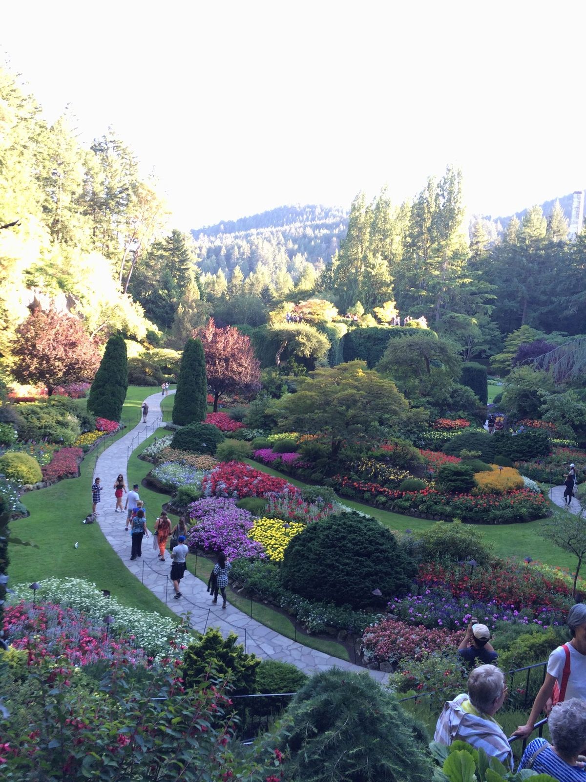ヴィクトリアも行ったやで😊